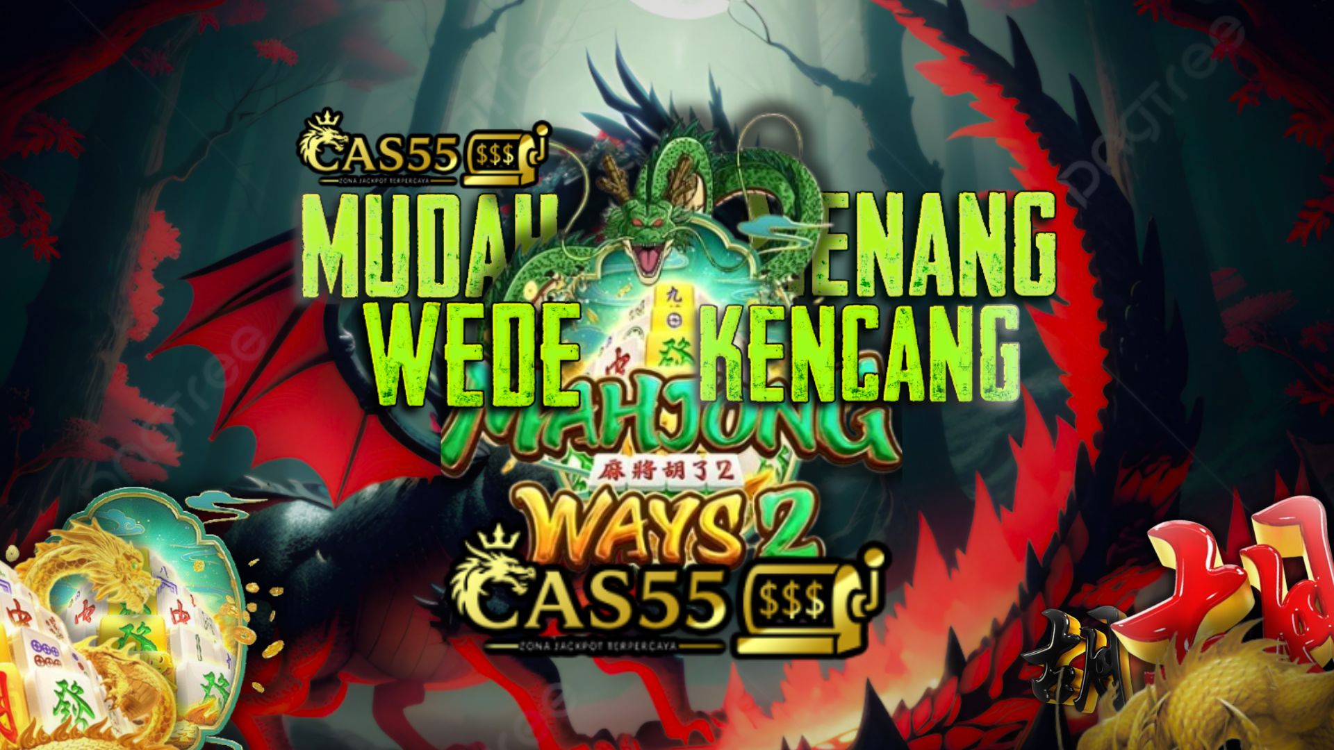 CAS55