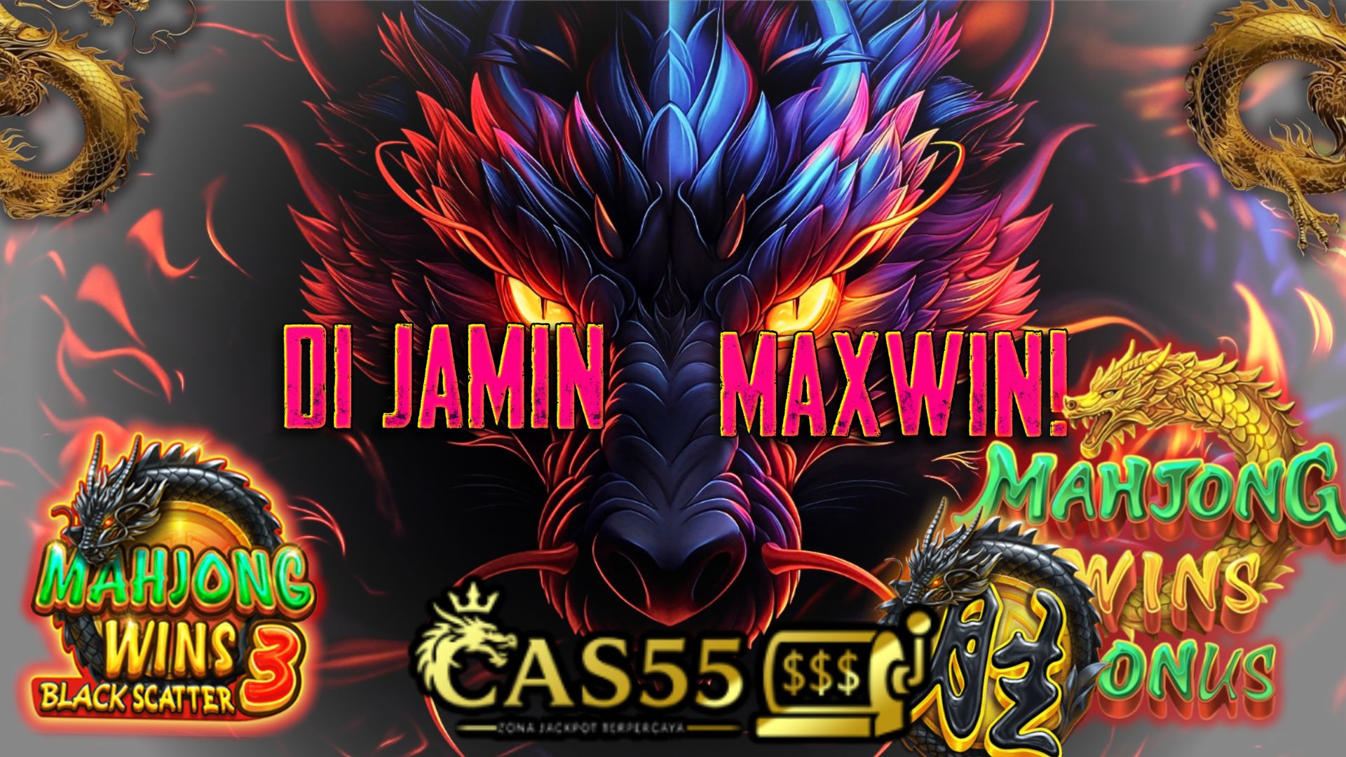 CAS55